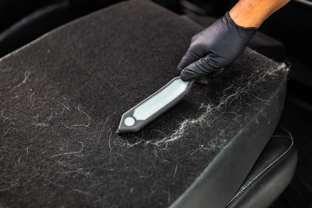 Detail factory pet hair brush demo 3 ud af 4