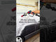 The Detail Gear Skumlanse i brug på Lexus LS400