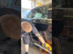 Keramisk Coating - NXTZEN 365PRO Ceramic Spray Coating