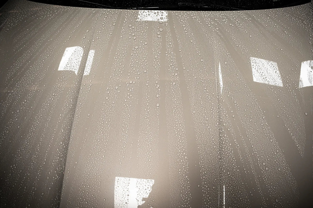 Quick Detailer - Shiny Garage Detailer ONE